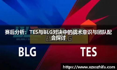 Mksport体育app官网入口