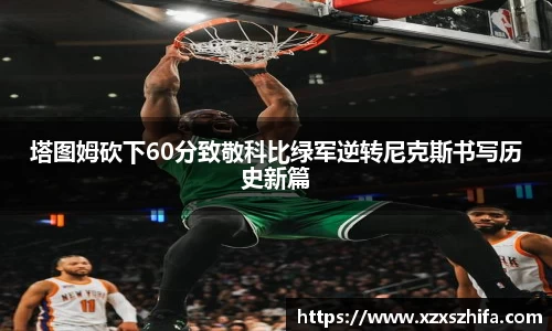 Mksport体育app官网入口