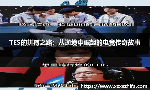 Mksport体育app官网入口